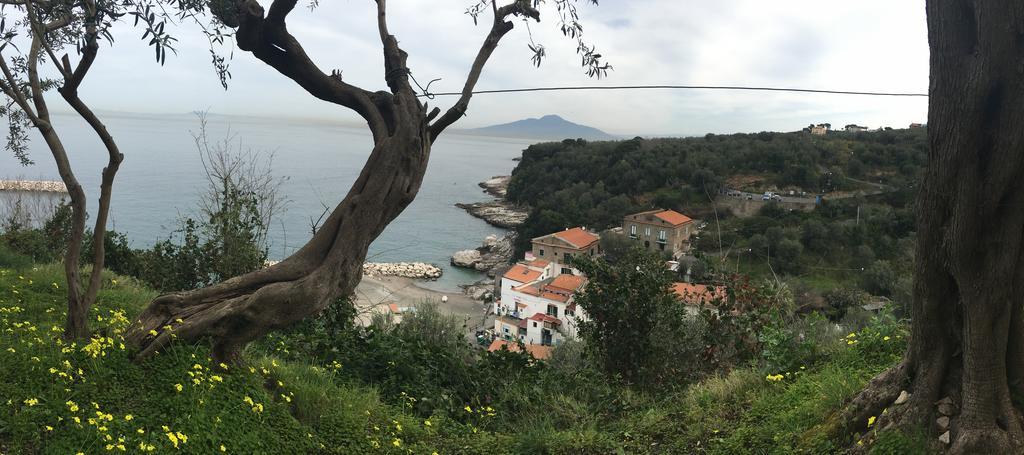 Villa Rosmary - Sorrento Coast - Gulf Of Naples View Buitenkant foto
