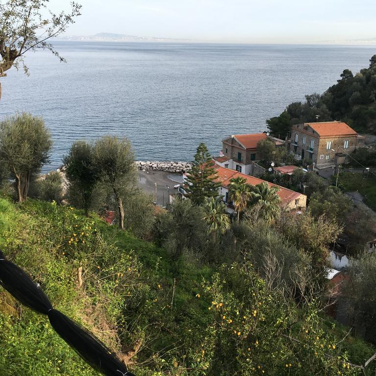 Villa Rosmary - Sorrento Coast - Gulf Of Naples View Buitenkant foto