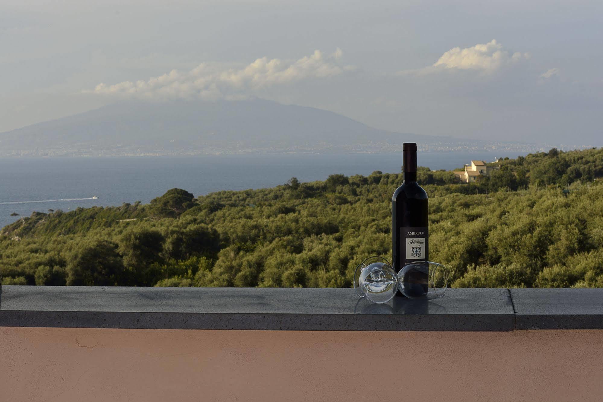 Villa Rosmary - Sorrento Coast - Gulf Of Naples View Buitenkant foto