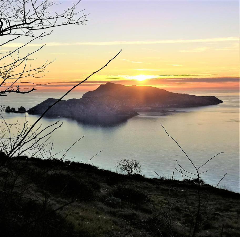 Villa Rosmary - Sorrento Coast - Gulf Of Naples View Buitenkant foto